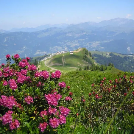 Apartment Giffre Samoens