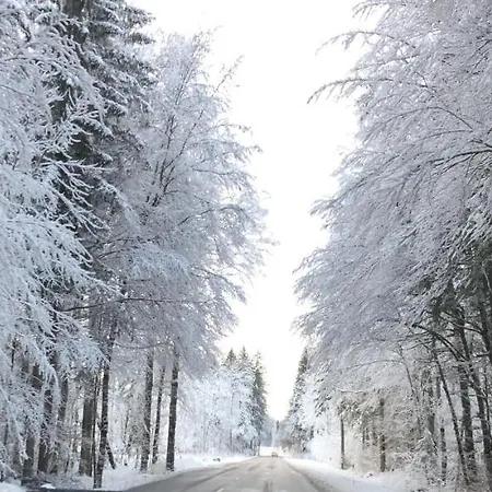 Appartamento Giffre *